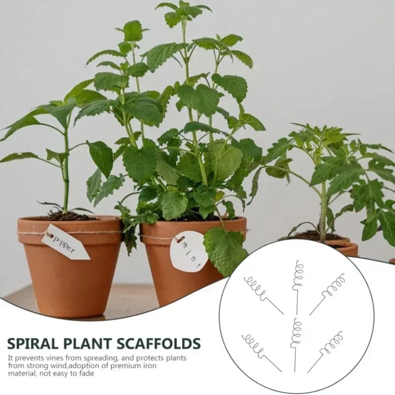 Bonsai Gardener - Climbing Plant Support Stake Stand Climbing