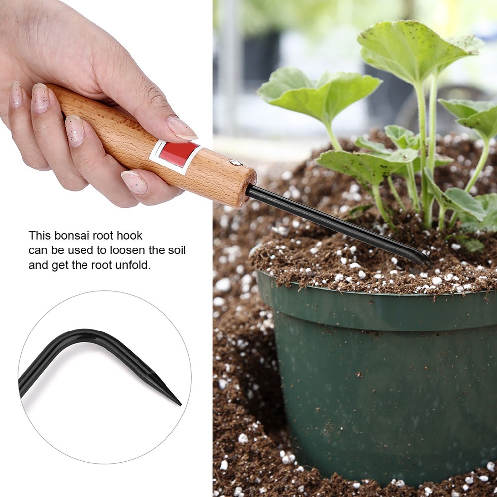Sturdy Iron Bonsai Root Hook W - Root Hook Tool review and price