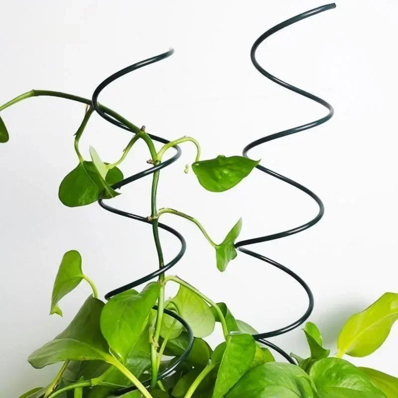 Climbing Plant Support Stake S - Bonsai Gardener review and price