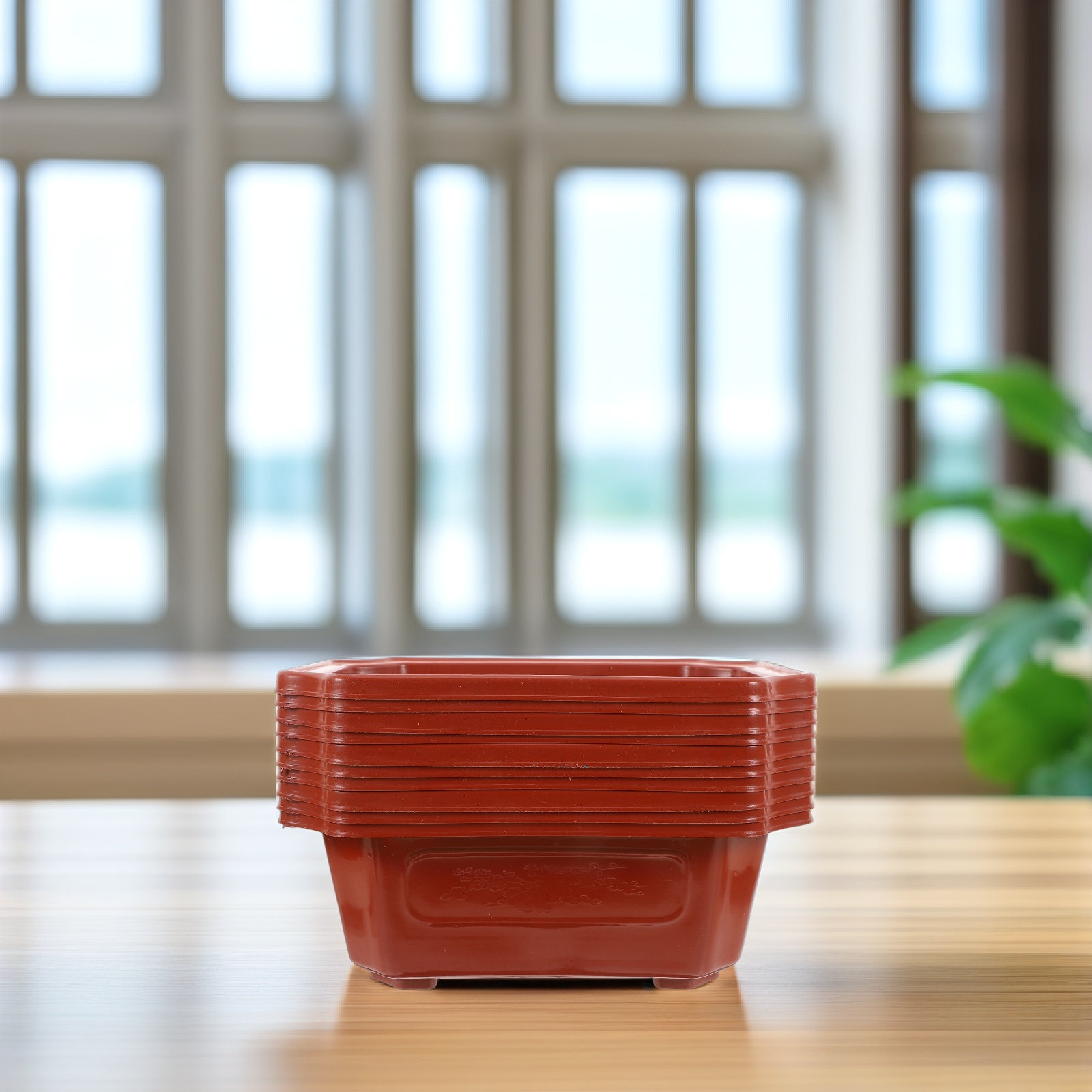10Pcs Vintage Plastic Bonsai P - Bonsai Garden Design review and price