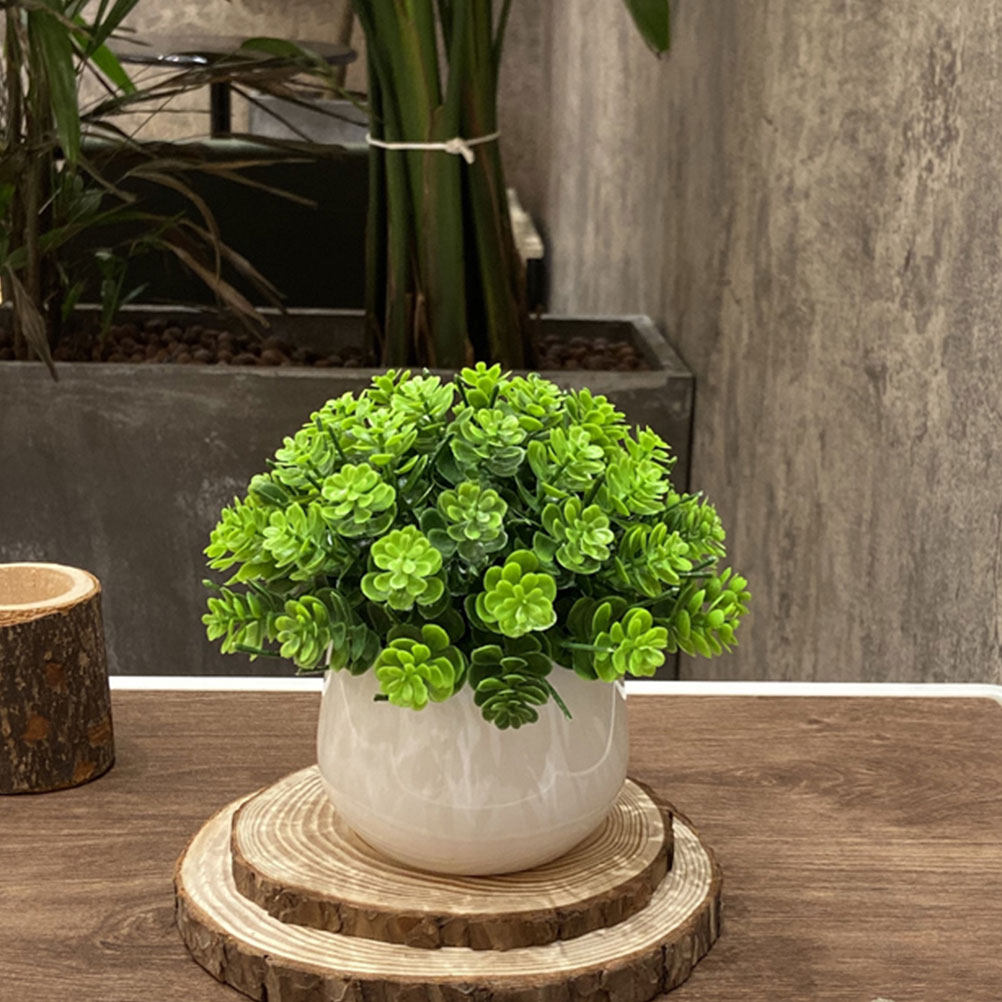 Realistic Fake Bonsai Artifici - Bonsai Garden Cafe review and price