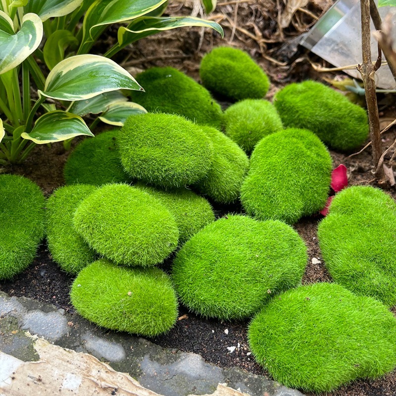 5/30pcs Simulation Moss Stone  - Bonsai Rock Garden review and price