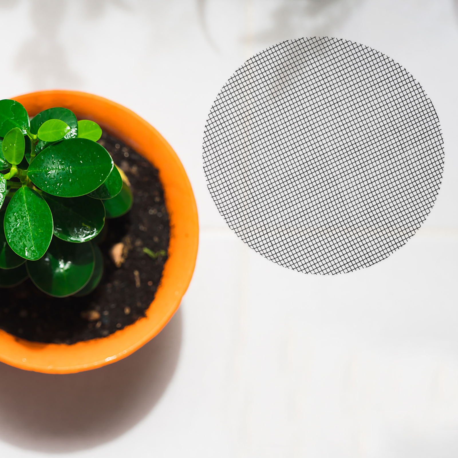 50Pcs Flower Pot Hole Mesh Pad - Bonsai Gardener review and price