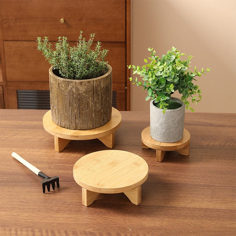 Wooden Bonsai Display Stand Fl - Bonsai Garden Display Stands review and price