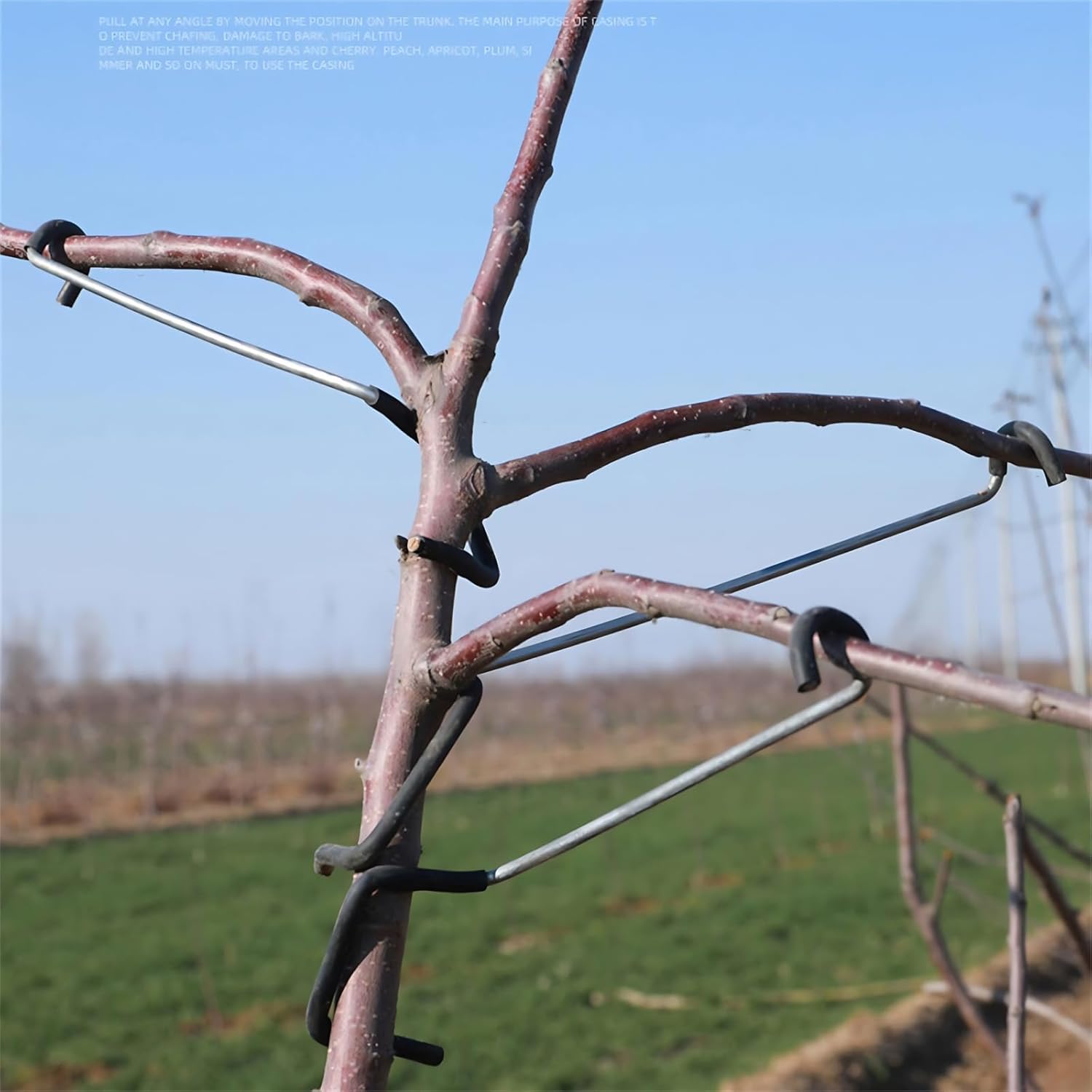 Adjustable Fruit Tree Branch S - Bonsai Gardener review and price