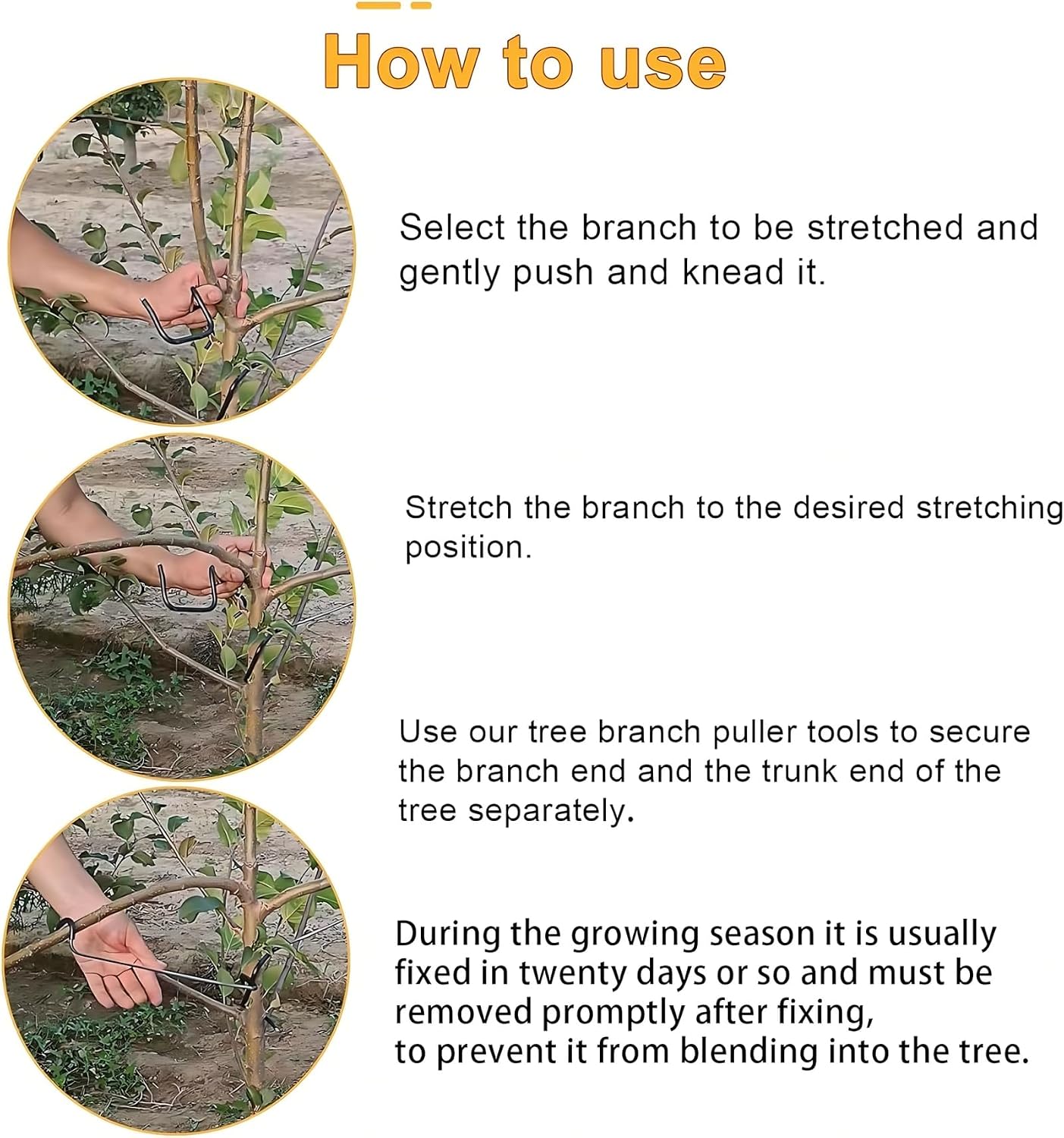 Adjustable Fruit Tree Branch S - Bonsai Gardener review and price