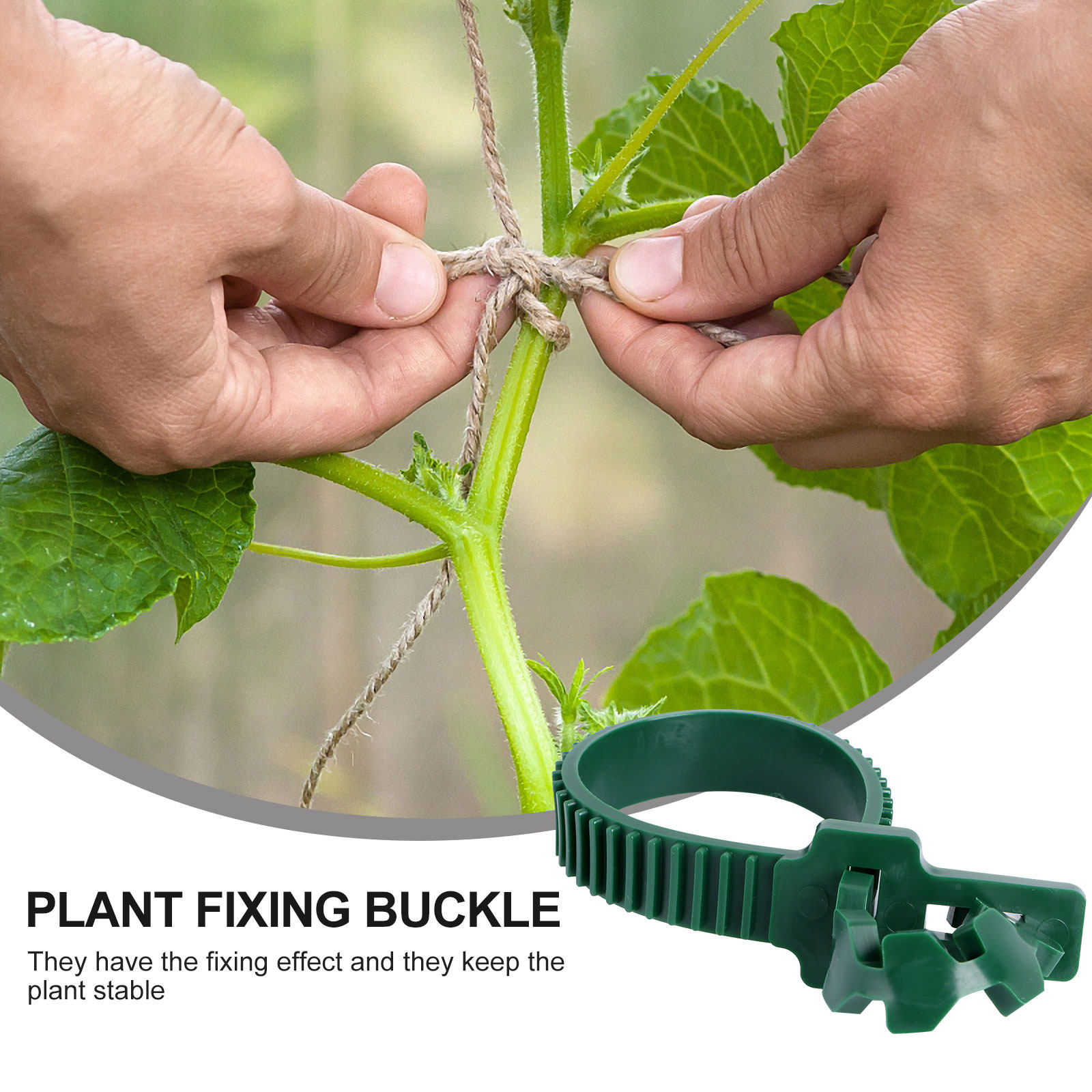 20Pcs Vine Fixing Buckle Garde - Bonsai Gardener review and price