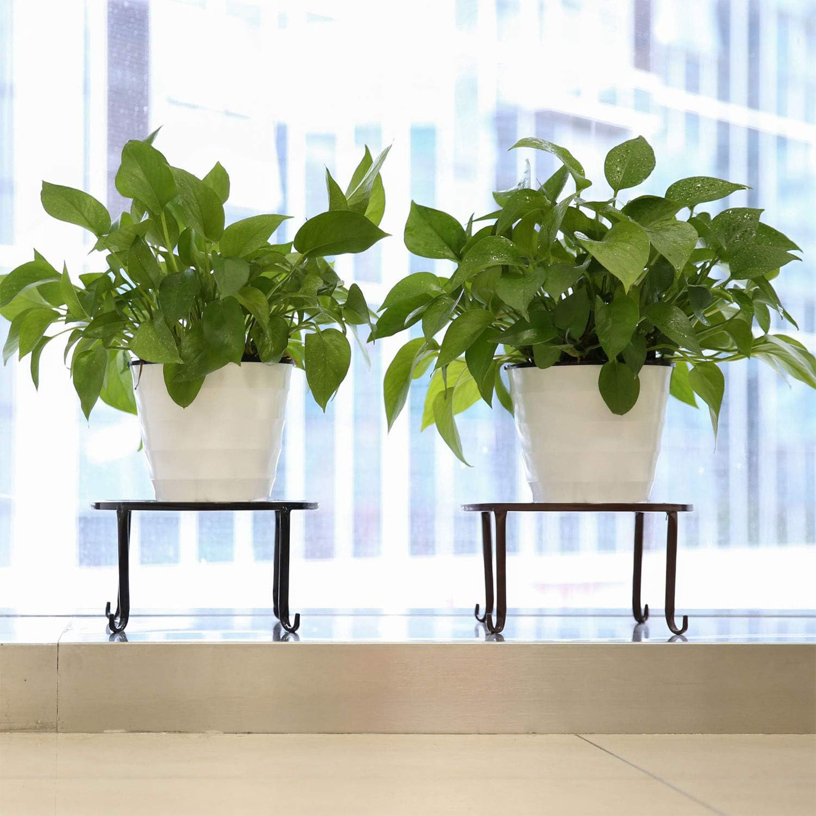 1Pc Metal Plant Stand Flower P - Bonsai Garden Display Stands review and price