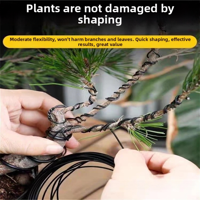 1.5MM Bonsai Wires Aluminum Bo - Bonsai Gardener review and price