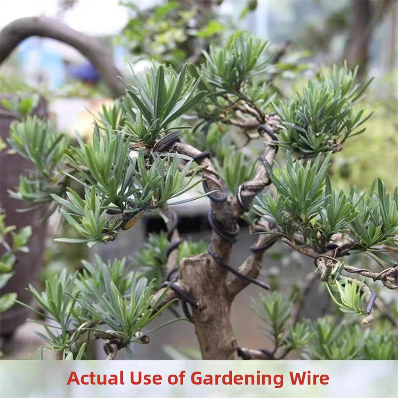 1.5MM Bonsai Wires Aluminum Bo - Bonsai Gardener review and price