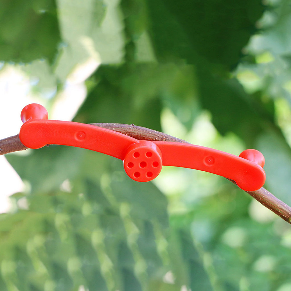 10Pcs Adjustable Plant Trainin - Bonsai Gardener review and price