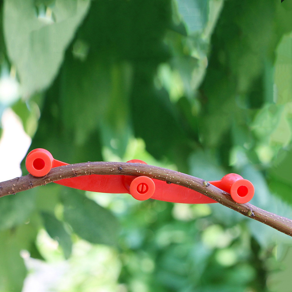 10Pcs Adjustable Plant Trainin - Bonsai Gardener review and price