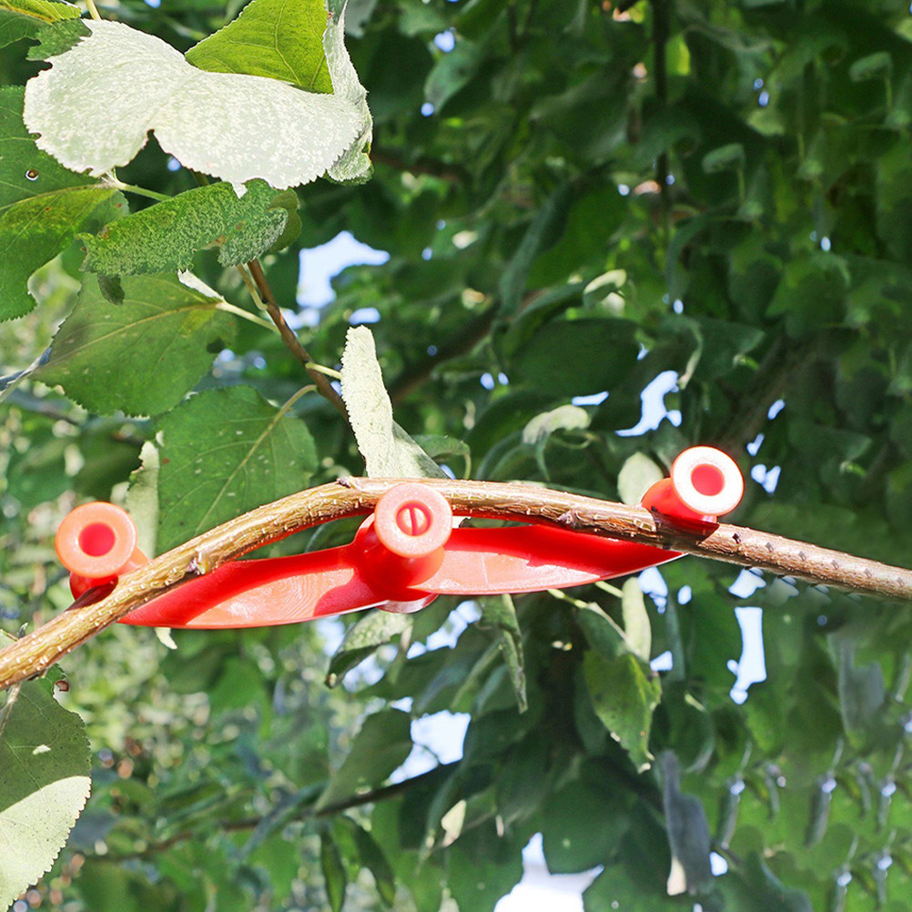 10Pcs Adjustable Plant Trainin - Bonsai Gardener review and price