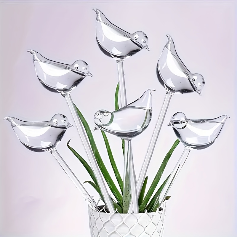 5pcs Automatic Watering Stake- - Bonsai Garden Design review and price