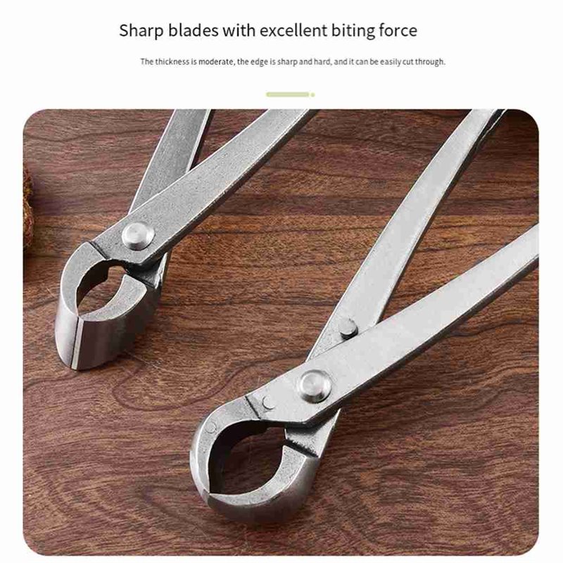 ABGH-Bonsai Tree Tools, 4 Piec - Root Hook Tool review and price