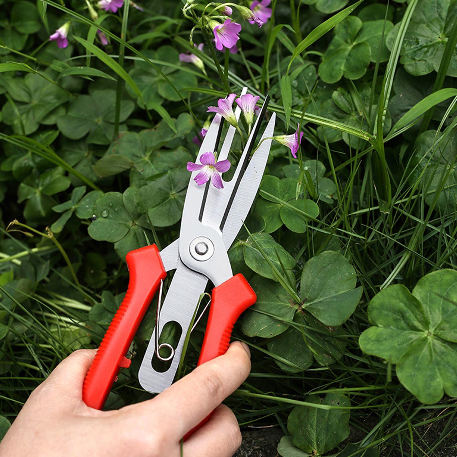 Garden Shears Stainless Steel  - Bonsai Gardener review and price