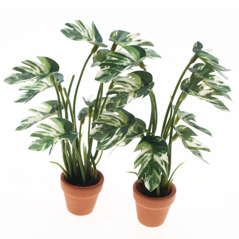 New.1PC 1/12 Dollhouse Simulat - Bonsai Gardener review and price
