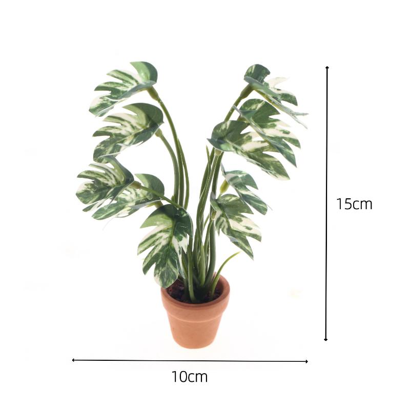 New.1PC 1/12 Dollhouse Simulat - Bonsai Gardener review and price