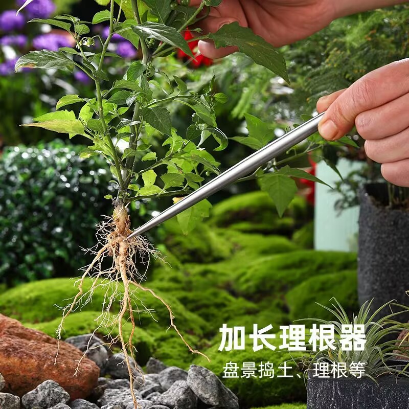 Solid Stainless Steel Root Hoo - Root Hook Tool review and price