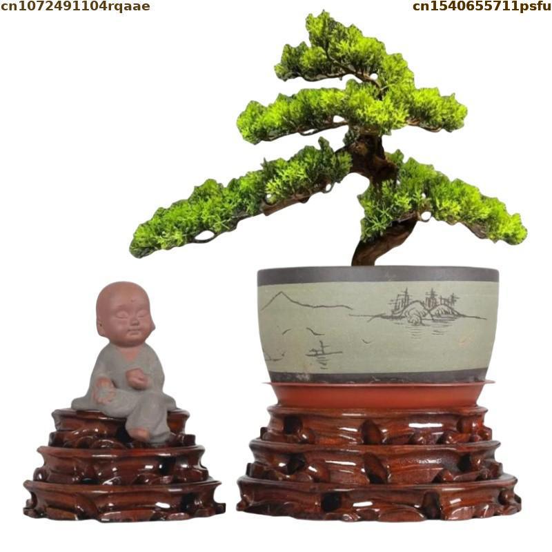 6-30cm Diameter Standing Flowe - Bonsai Garden Display Stands review and price