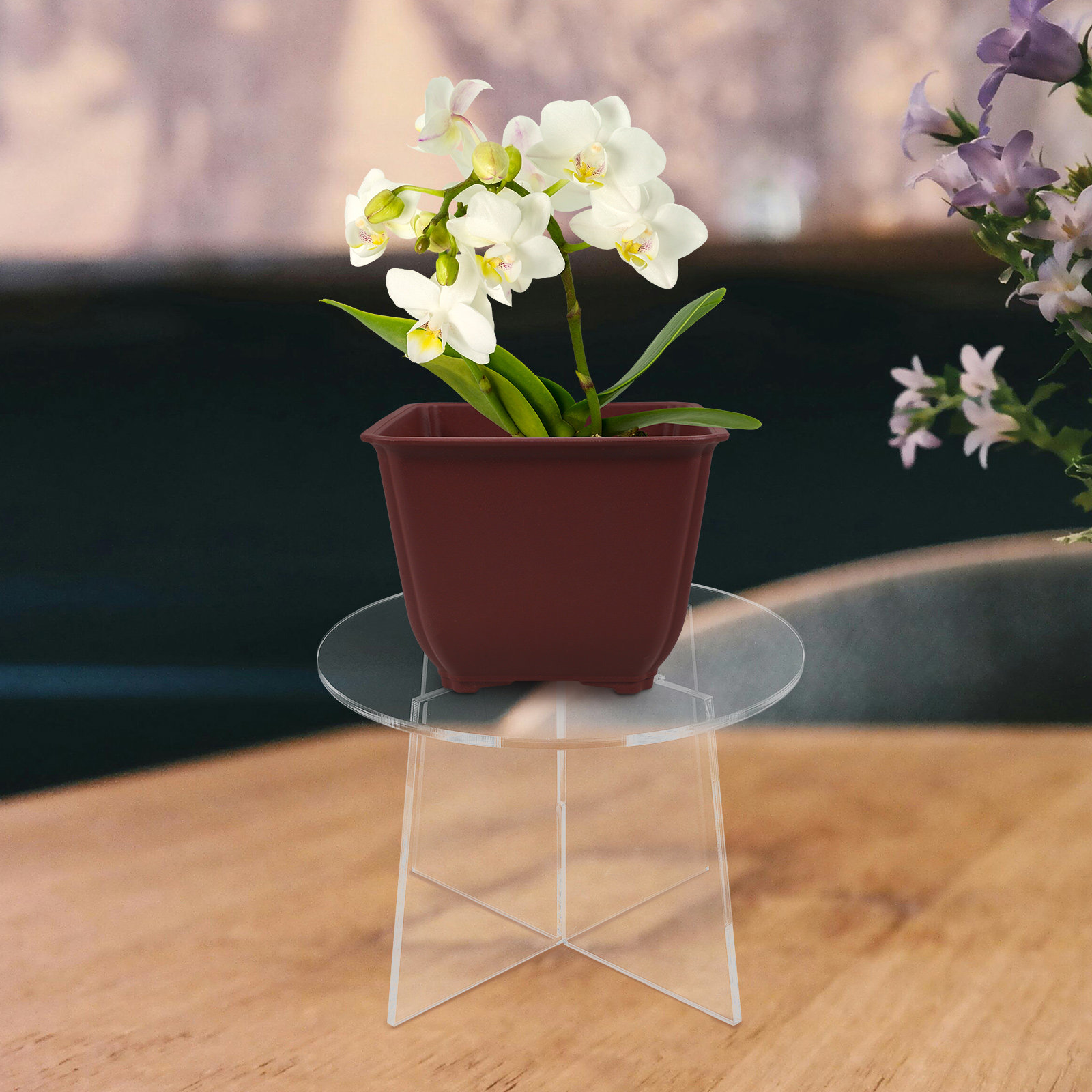 Acrylic Plant Stand Stable Flo - Bonsai Garden Display Stands review and price