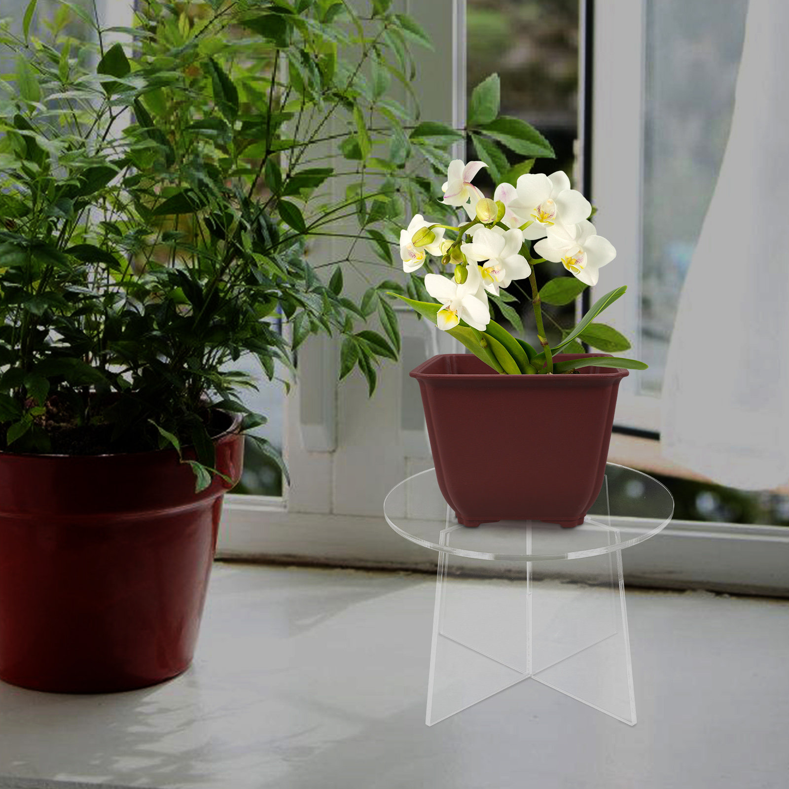 Acrylic Plant Stand Stable Flo - Bonsai Garden Display Stands review and price