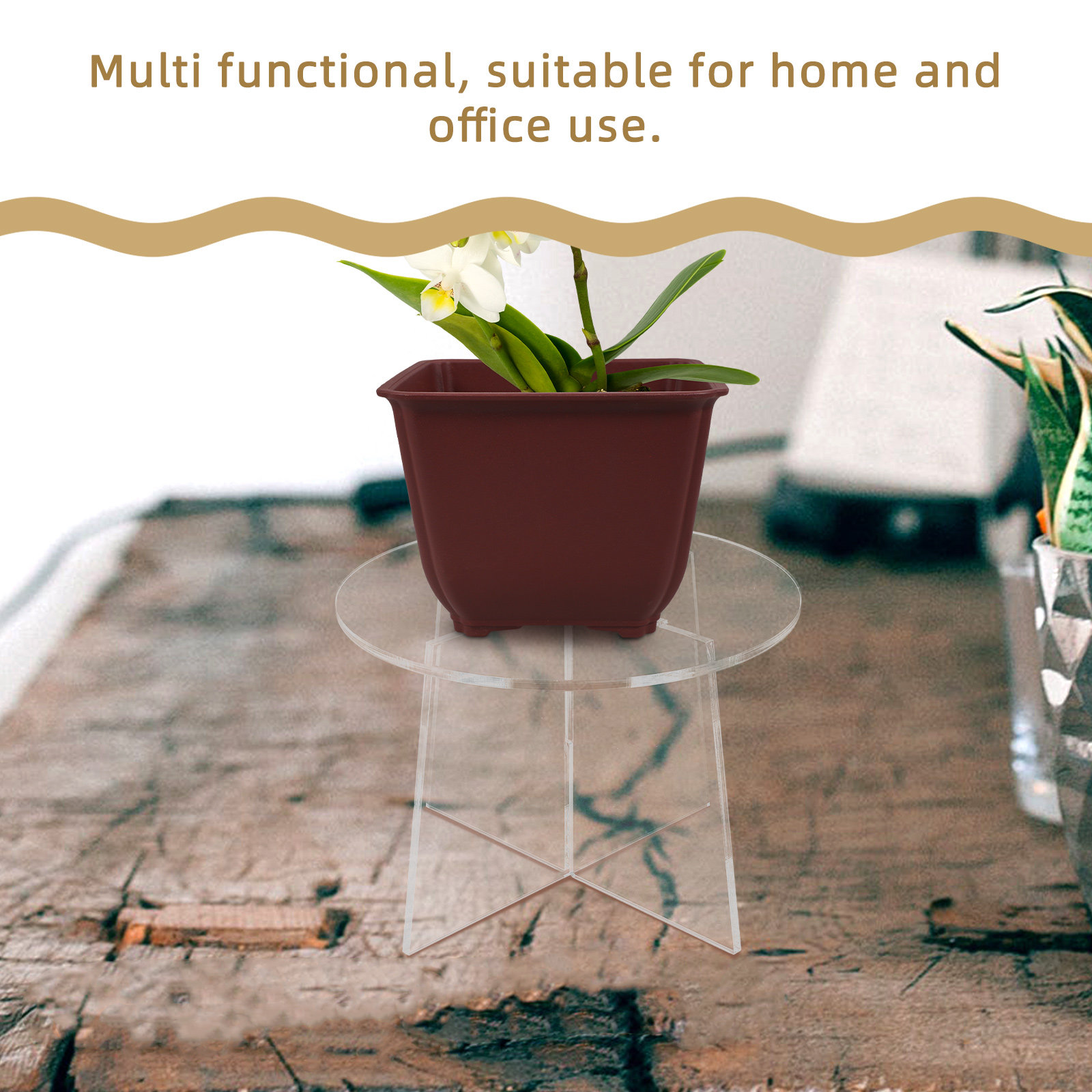 Acrylic Plant Stand Stable Flo - Bonsai Garden Display Stands review and price